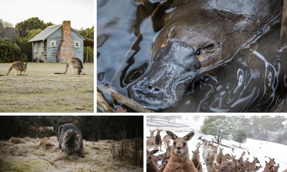 Travel Blog Detail | YOU Travel